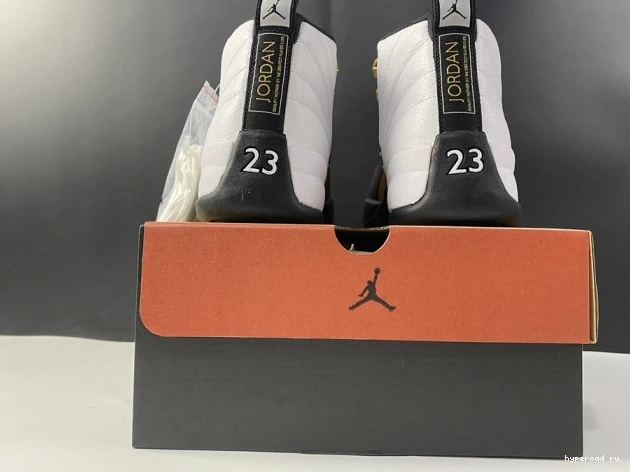 Royalty Jordan CT8013-170 Air 12 0526